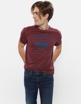 AE Logo Graphic Tee