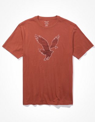 AE Super Soft Logo Graphic T-Shirt