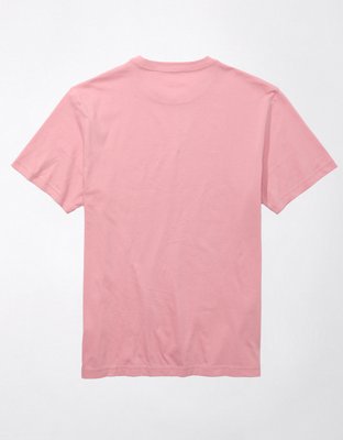 AE Logo Graphic T-Shirt