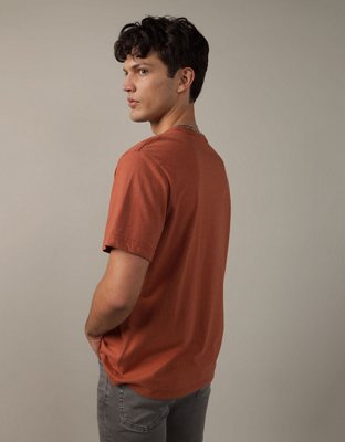 AE Logo Graphic T-Shirt