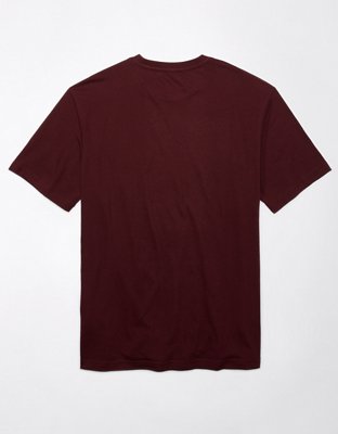 AE Logo Graphic T-Shirt