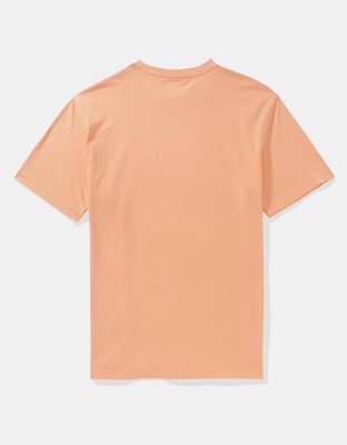 AE Logo Graphic T-Shirt