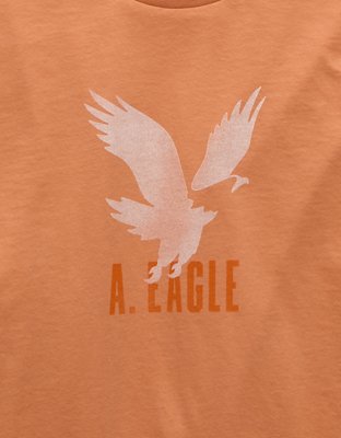AE Logo Graphic T-Shirt