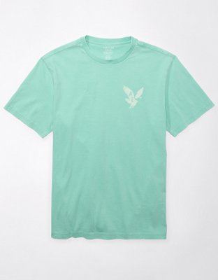 AE Logo Graphic T-Shirt