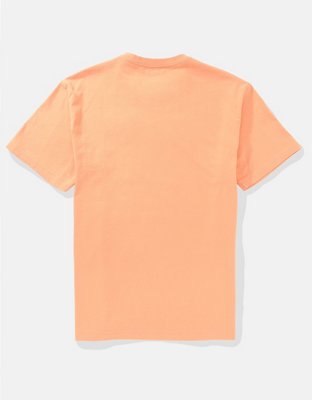 AE Standard Fit Logo Graphic T-Shirt