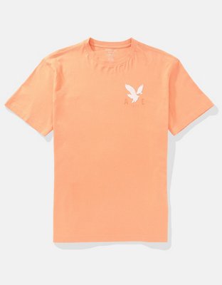 AE Standard Fit Logo Graphic T-Shirt