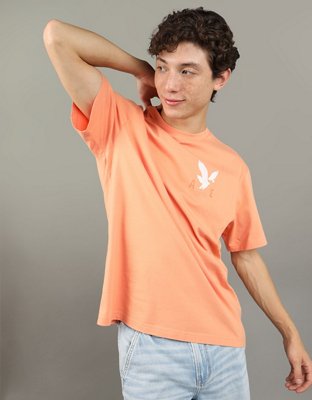 AE Standard Fit Logo Graphic T-Shirt