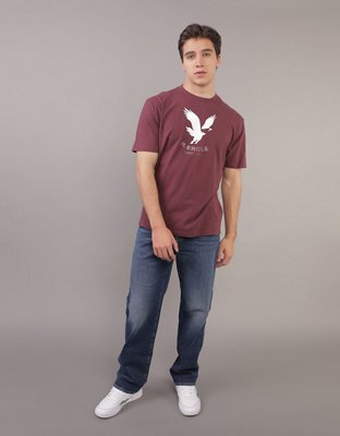 AE Logo Graphic T-Shirt