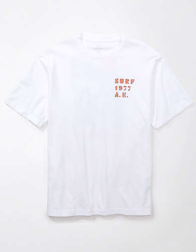 AE Embroidered Graphic T-Shirt