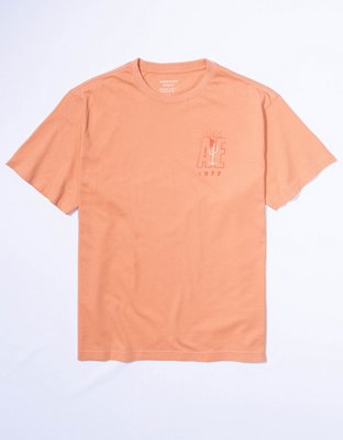 AE T-shirt con Gráfico de Logotipo Bordado