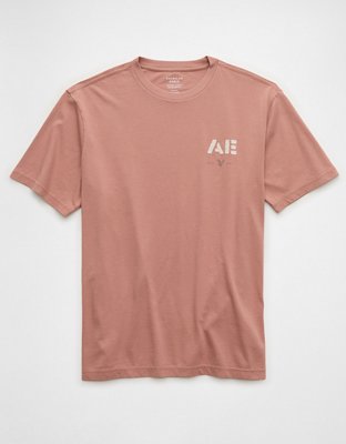 AE Logo Graphic T-Shirt