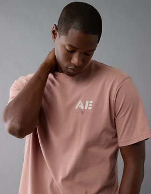 AE Logo Graphic T-Shirt