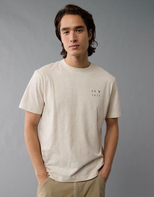 AE Logo Graphic T-Shirt