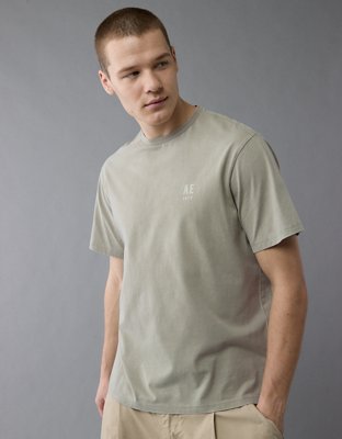 【AEAE】24SS AEAE LOGO T-SHIRTS AE Team Logo Mens Shirt Grey - AlwaysEvolving