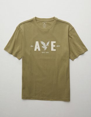 AE Logo Graphic T-Shirt