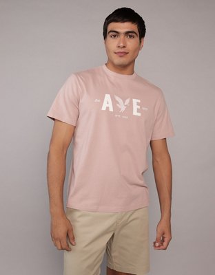 AE Logo Graphic T-Shirt