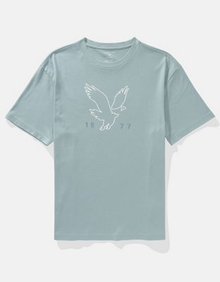 AE Logo Graphic T-Shirt