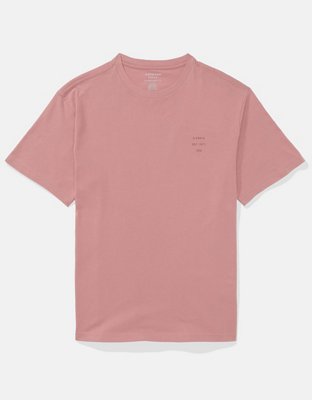 AE Icon Logo Graphic T-Shirt