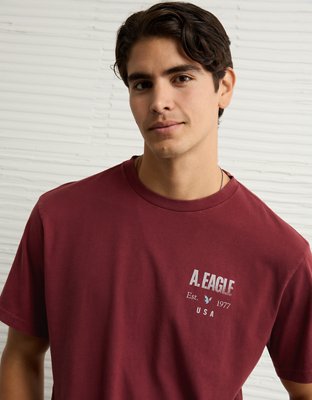 AE Logo Graphic T-Shirt