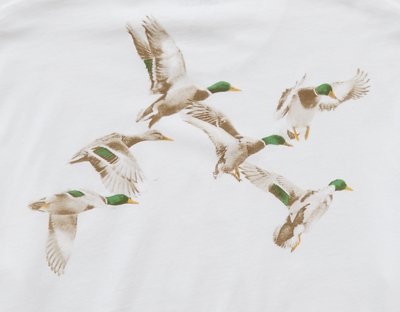 AE T-shirt con Gráfico de Logotipo