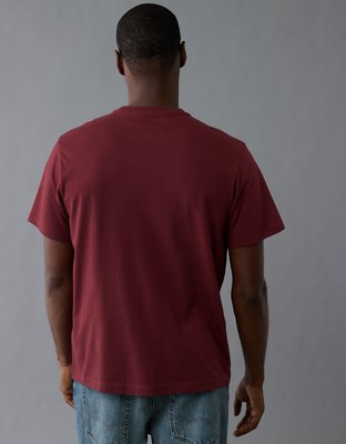 AE Icon Logo Graphic T-Shirt