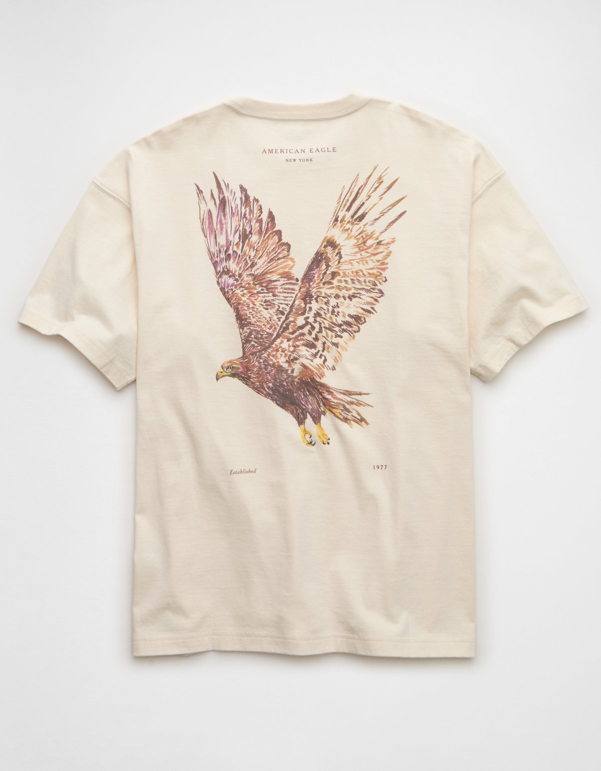 AE Boxy Destination Graphic T-Shirt - image 4