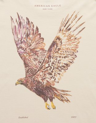 AE Boxy Destination Graphic T-Shirt