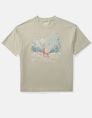 AE Oversized Graphic T-Shirt