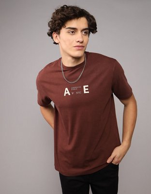 AE Icon Logo Graphic T-Shirt