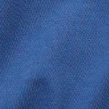 Rustic Blue