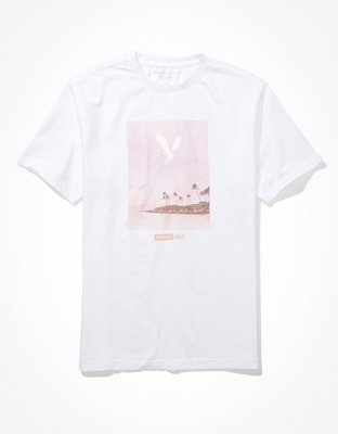 AE Super Soft Summer Eagle Graphic T-Shirt