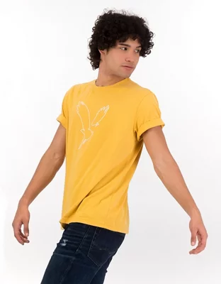 Men's AE Branded Graphic T-Shirts