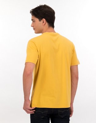 T-shirt con gráfico de águila AE