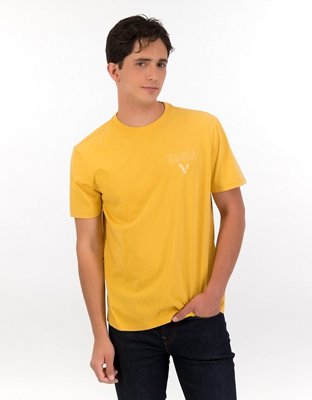 T-shirt con gráfico de águila AE