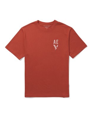 AE Logo Graphic T-Shirt