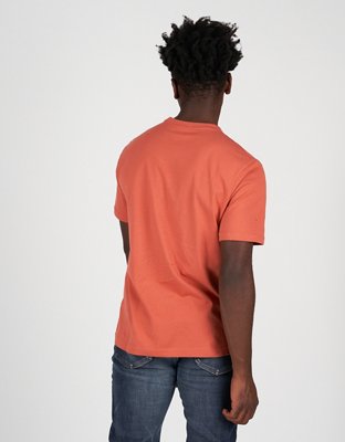 AE Logo Graphic T-Shirt