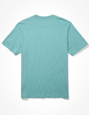 AE Logo Graphic T-Shirt