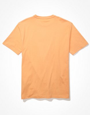 AE Logo Graphic T-Shirt