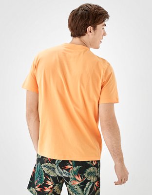 AE Logo Graphic T-Shirt