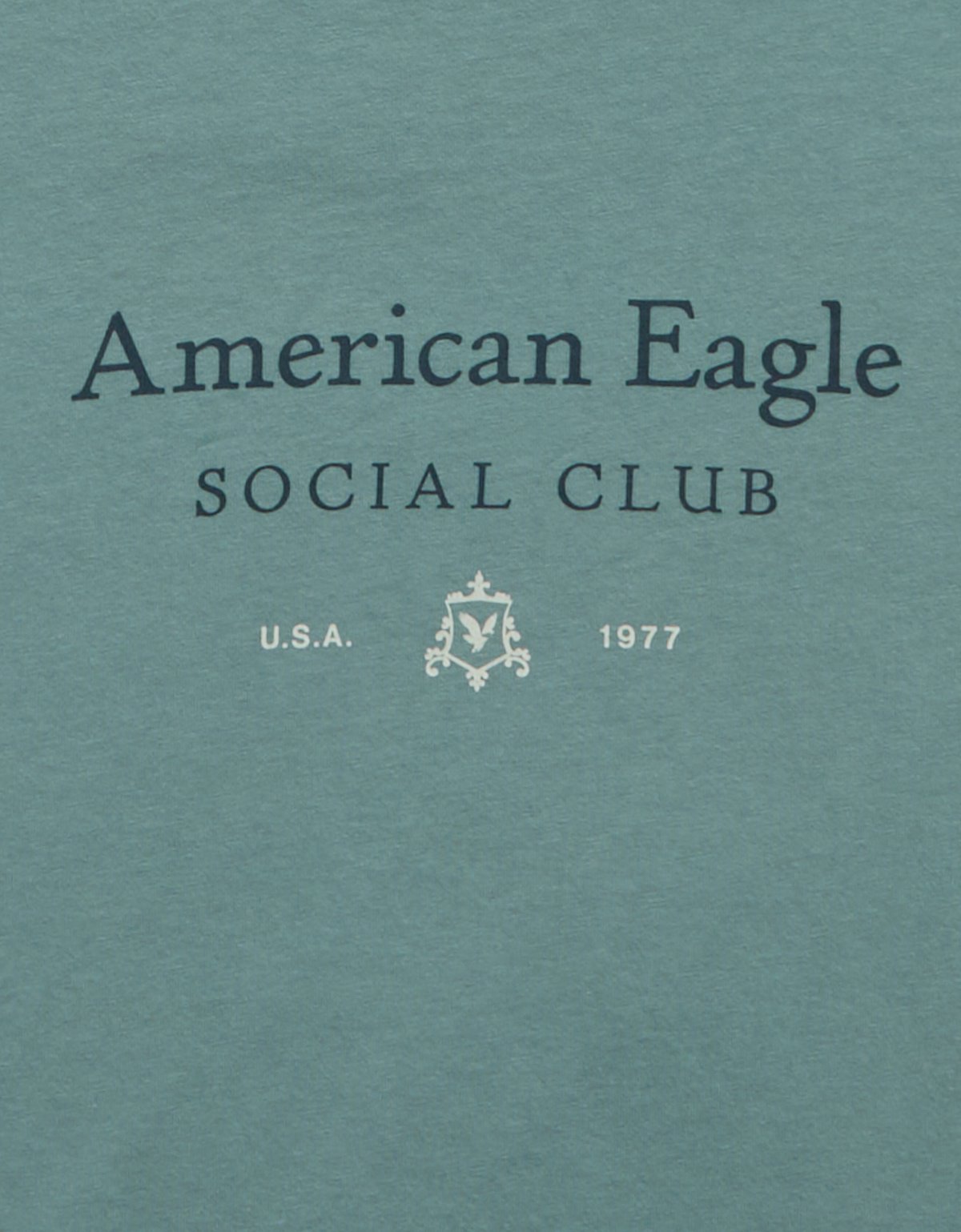 AE Logo Graphic T-Shirt - image 5
