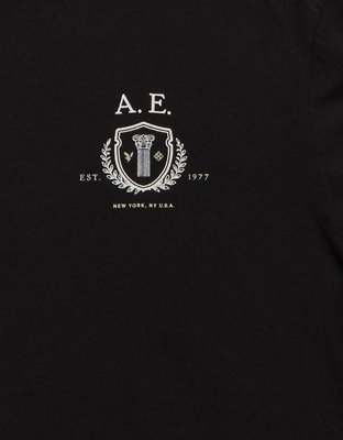 AE Logo Graphic T-Shirt