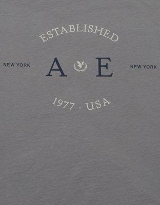 AE Logo Graphic T-Shirt