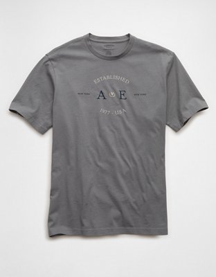 AE Standard Fit Logo Graphic T-Shirt | American Eagle