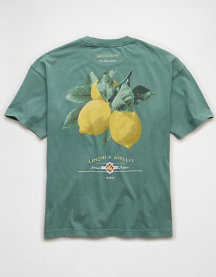 AE Boxy Destination Graphic T-Shirt