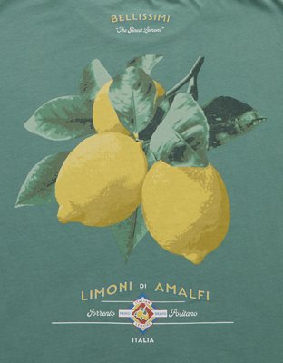 AE Boxy Destination Graphic T-Shirt