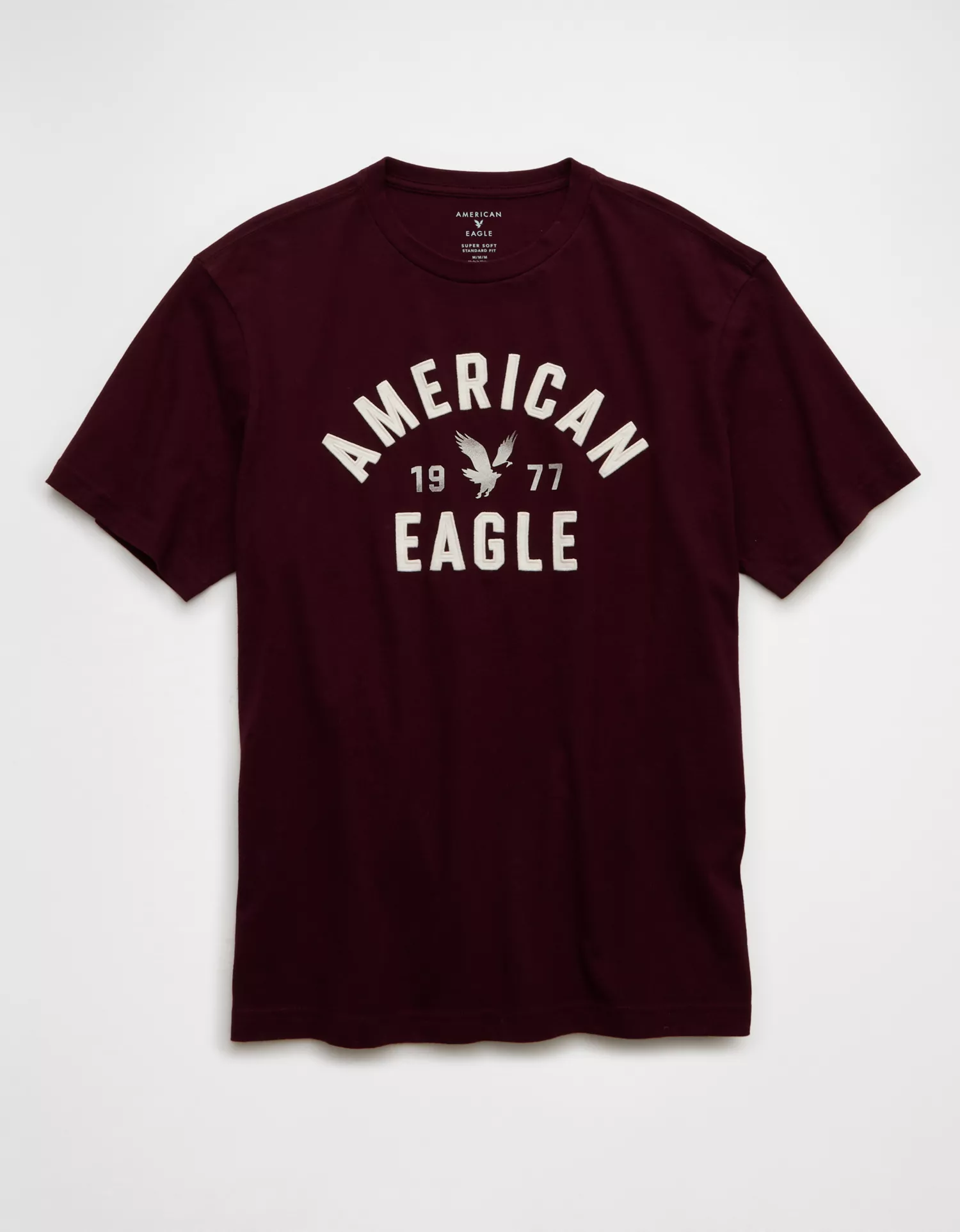 AE Standard Fit Graphic T-Shirt - thumbnail 3