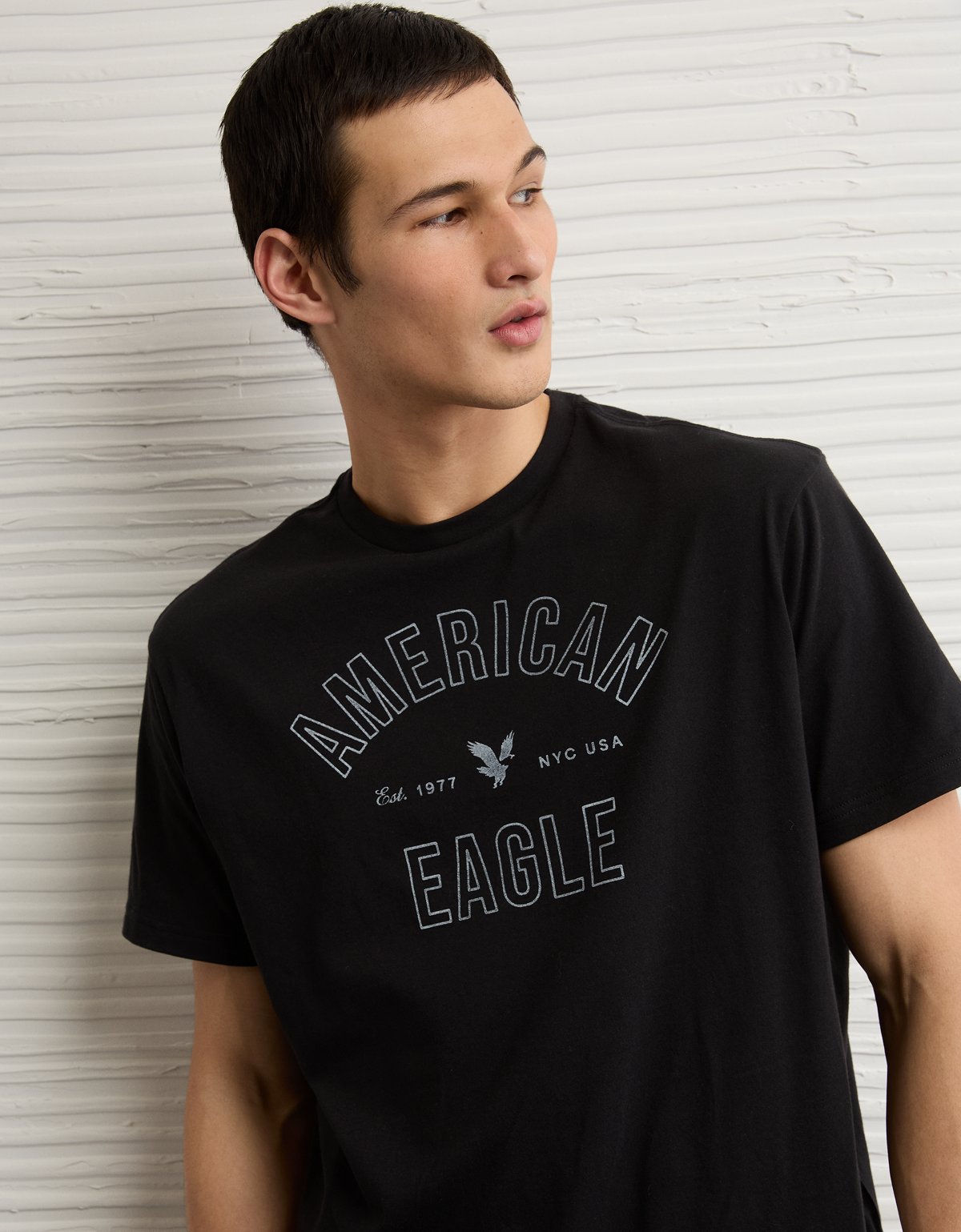 AE Lightweight Icon Logo Graphic T-Shirt - image 5