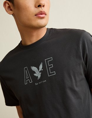 AE Standard Fit Lightweight Logo Graphic T-Shirt