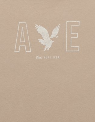 AE Lightweight Icon Logo Graphic T-Shirt