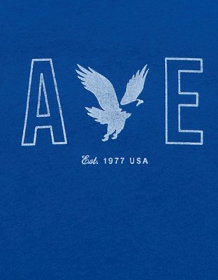 AE Lightweight Icon Logo Graphic T-Shirt